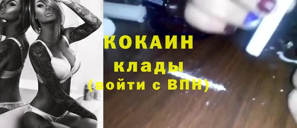 прущие грибы Алексин