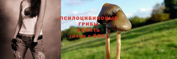 прущие грибы Алексин