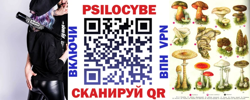 как найти закладки  Гвардейск  Псилоцибиновые грибы GOLDEN TEACHER 